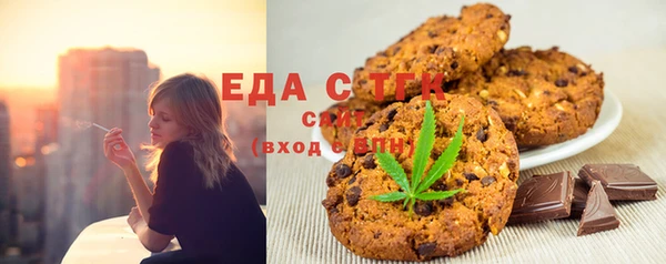 индика Горнозаводск