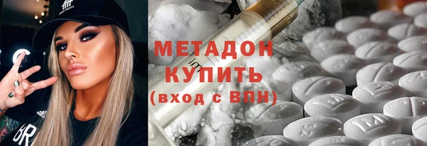 индика Горнозаводск