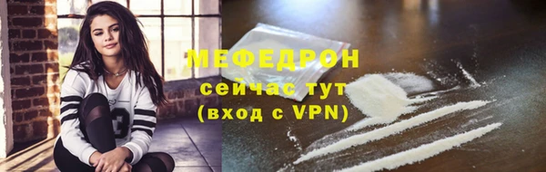 индика Горнозаводск