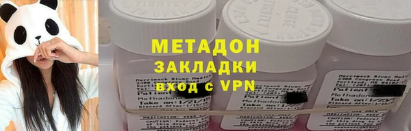 индика Горнозаводск