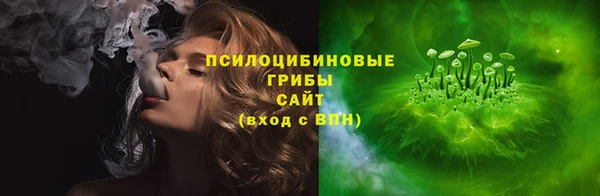 индика Горнозаводск