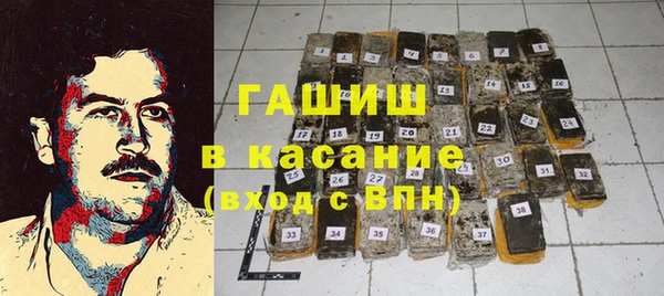 индика Горнозаводск