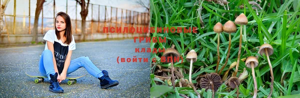 ешки Вязьма