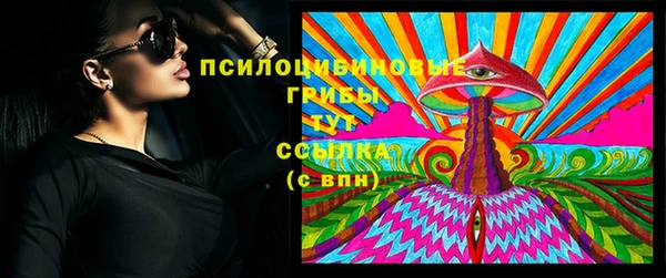 индика Горнозаводск