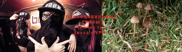 ALPHA-PVP Горно-Алтайск