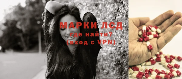 индика Горнозаводск